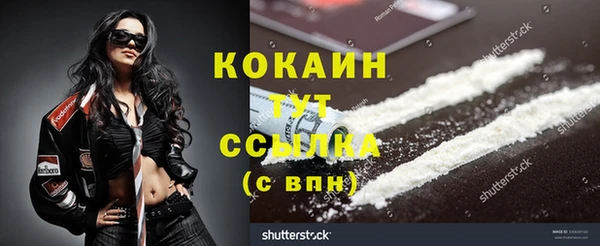 хмурый Абаза
