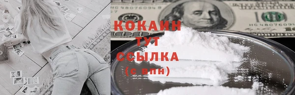 хмурый Абаза