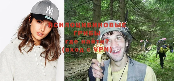 хмурый Абаза