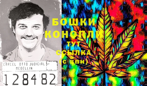 хмурый Абаза