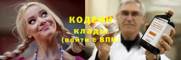 хмурый Абаза