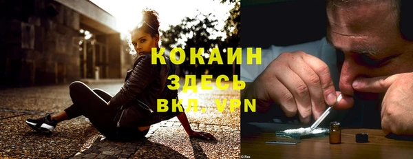 дмт Касимов