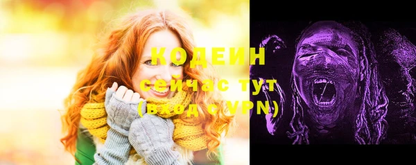 хмурый Абаза