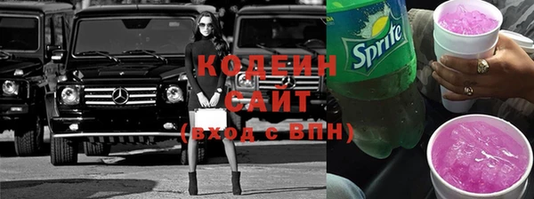 хмурый Абаза