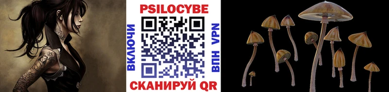 Галлюциногенные грибы Cubensis где найти Красноперекопск